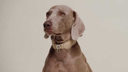 The front of the Dórro collar and turnlock by Pagerie