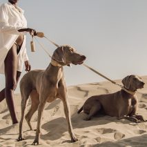 The Tascher leash and Dórro collar by Pagerie