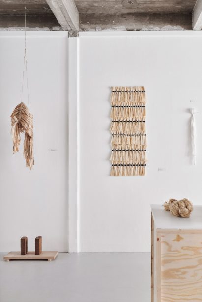 Coconut bricks at Phytophilia by Sara Martinsen