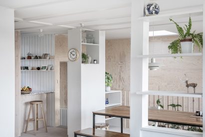 Plywood finish in extension