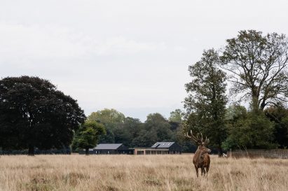 Teddington Cricket Club in Bushy Park