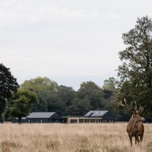 Teddington Cricket Club by Reed Watts