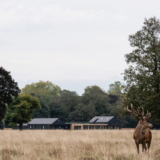 Teddington Cricket Club by Reed Watts