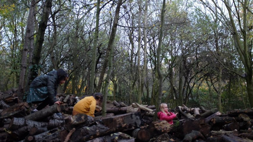 Rewilding cities