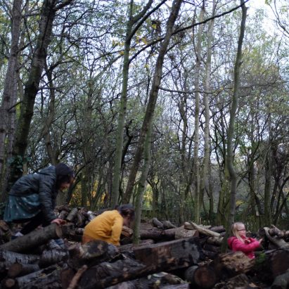 Rewilding cities
