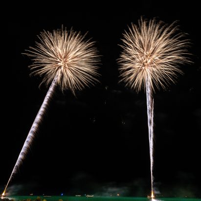 Happy New Year 2021