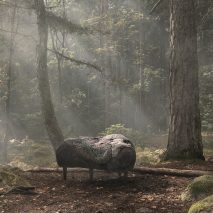 Front and Moroso’s Design by Nature furniture imitates mossy rock formations