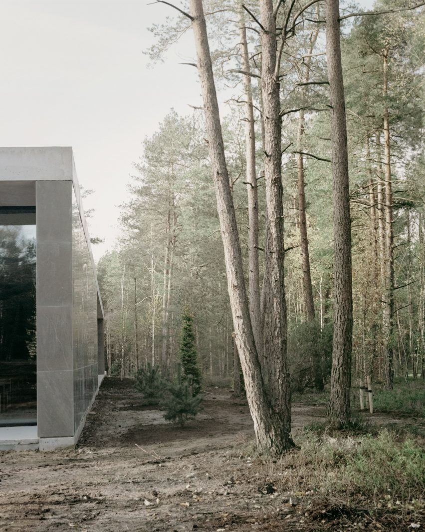 Trees flanking Loenen Pavilion by Kaan Architecten