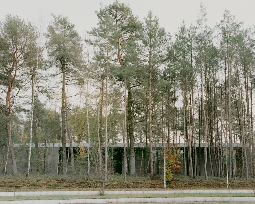Trees surrounding Loenen National War Cemetery and the new National Veterans Cemetery