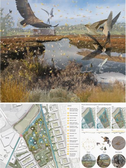 Landscape architecture drawings by UNSW Sydney student Ranine Hamed