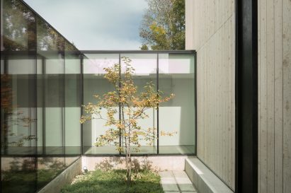 Courtyard with tree at house in Salt Lake City