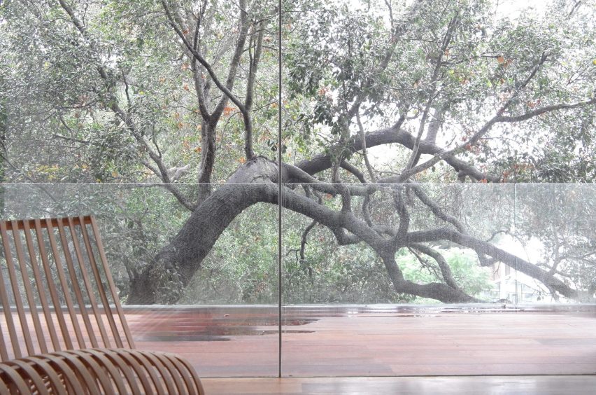 Gerhard Heusch Oak Pass Residence Beverly Hills surrounding oak tree