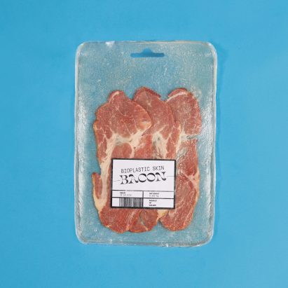Packaging made from animal skin