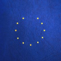 Brexit architects views