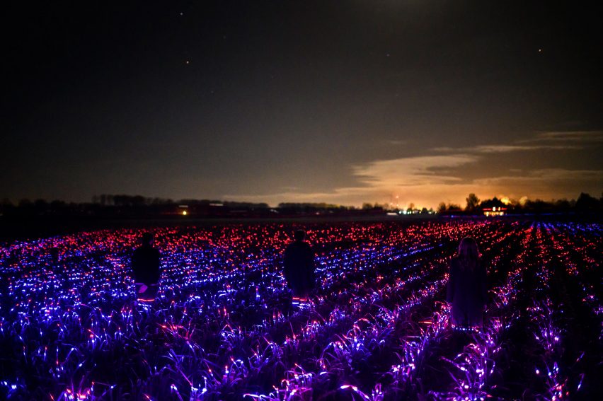 Grow installation by Studio Roosegaarde