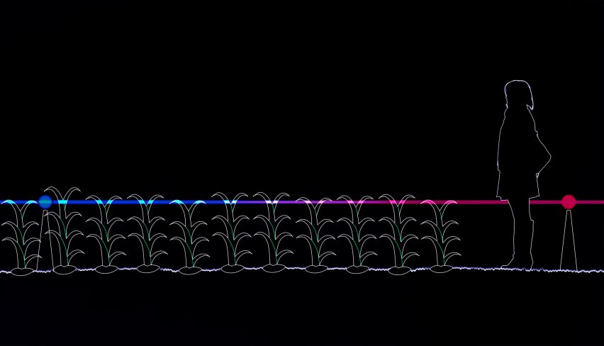 Grow installation by Studio Roosegaarde