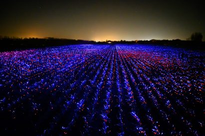 Wide view of Grow installation by Studio Roosegaarde