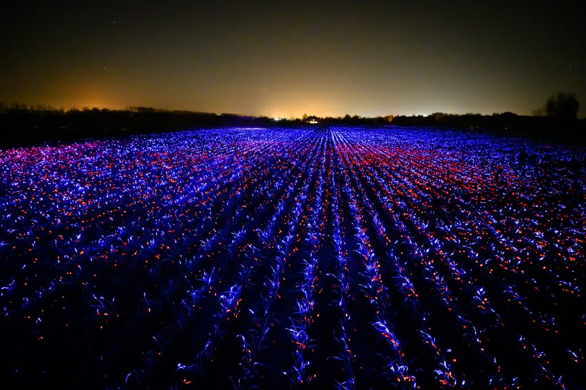 Wide view of Grow installation by Studio Roosegaarde