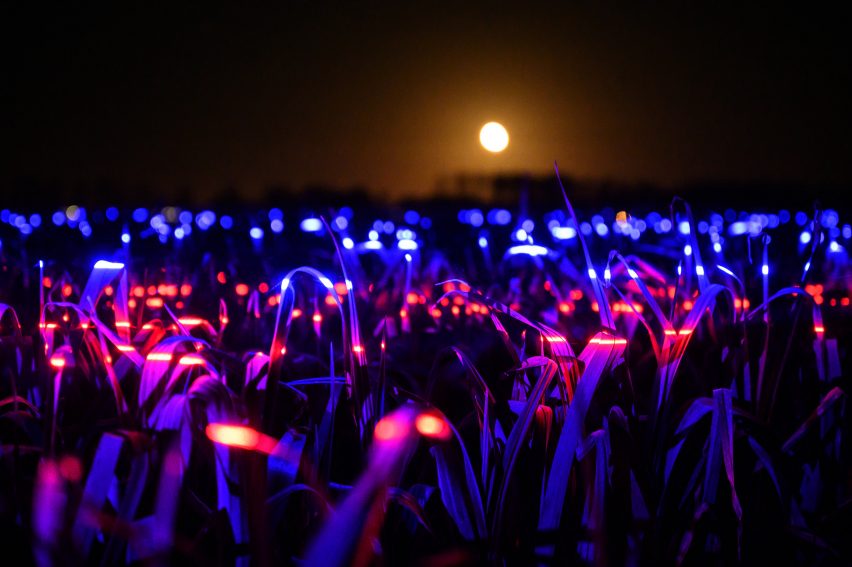 Grow installation by Studio Roosegaarde