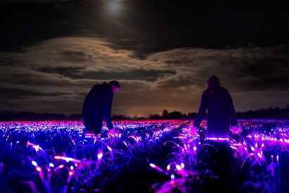 People walking through Grow installation by Studio Roosegaarde