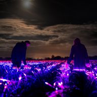 Grow installation by Studio Roosegaarde