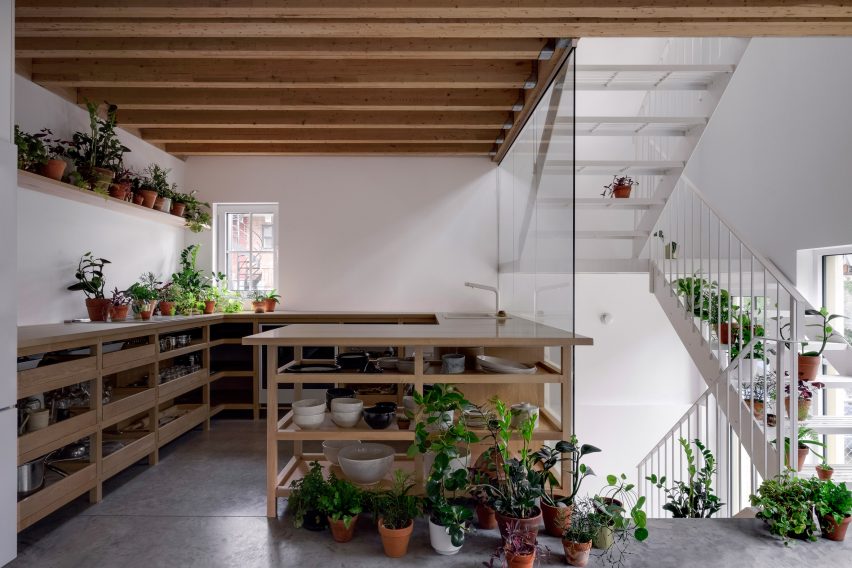 Plants in NMBDH by Jean Verville in Montreal