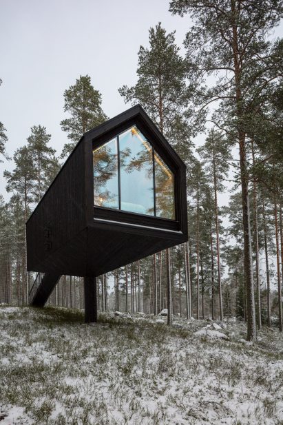 A woodland cabin clad in black-painted wood