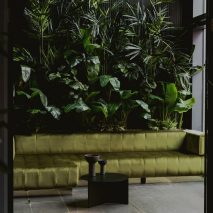 Green walls and sofa in the Urban HQ office by Kingston Lafferty Design