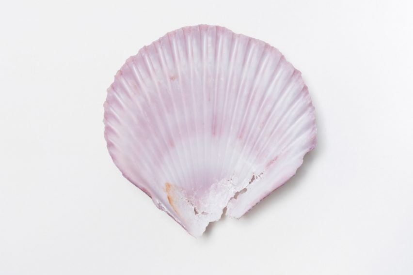 Seashell at R for Repair