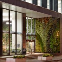 TP Bennett retrofits 1970s office building with Manchester’s largest living wall