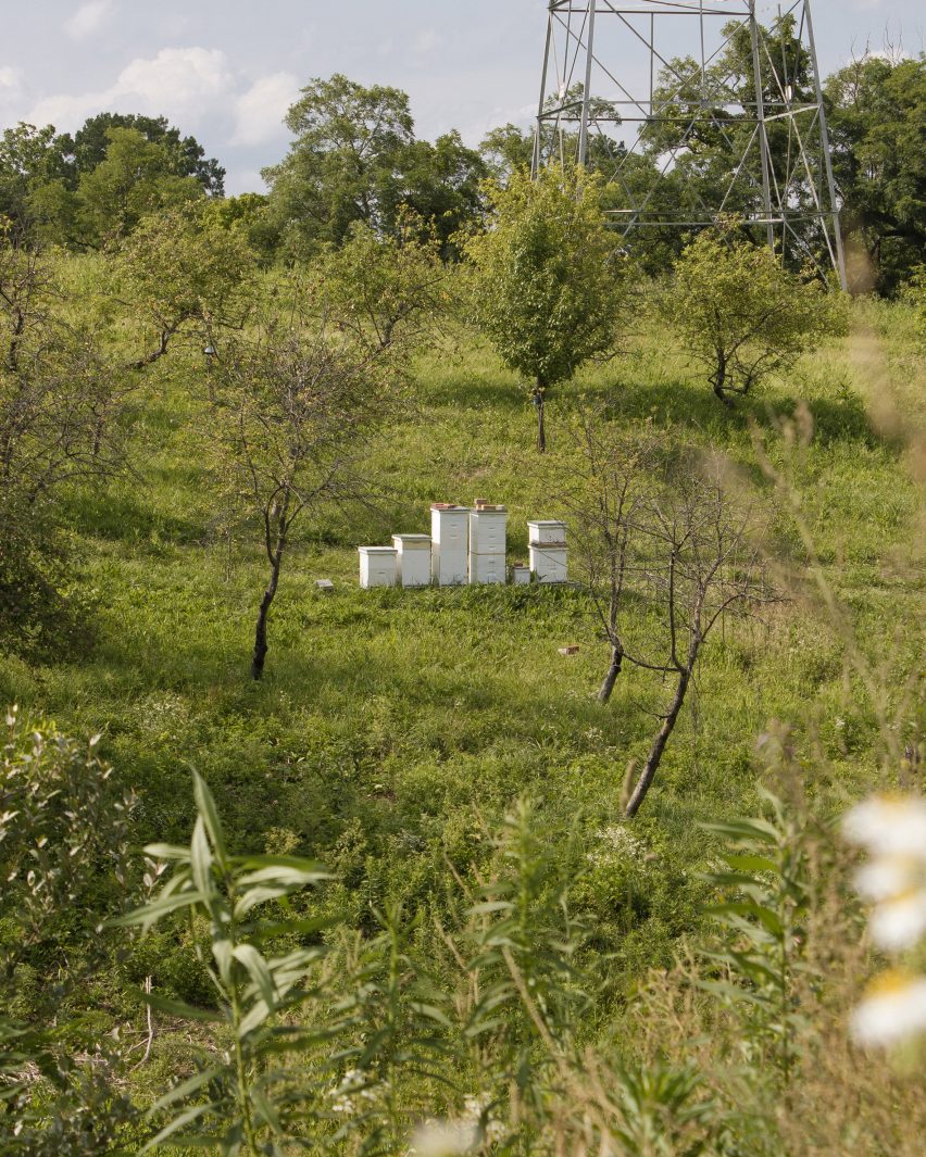 A photograph of the landscape of a regional location