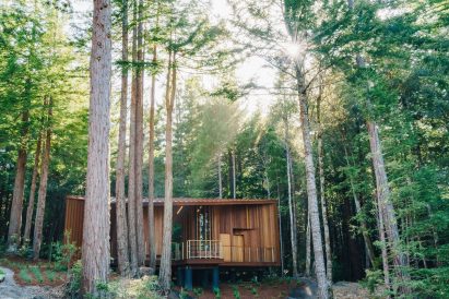 Entrance building in forest