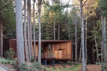 Timber pavilion in California forest