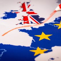 Brexit designers views