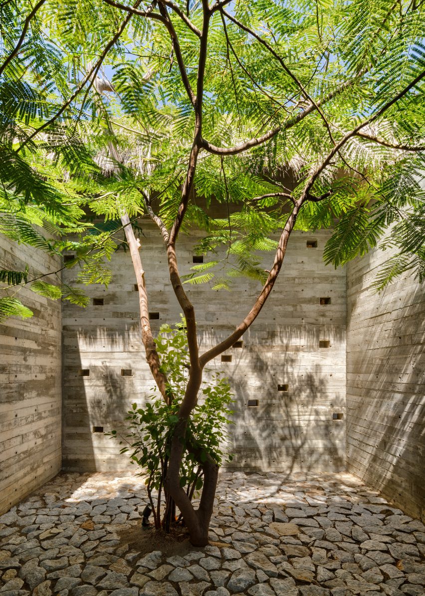 Vegetation around Casa Cova