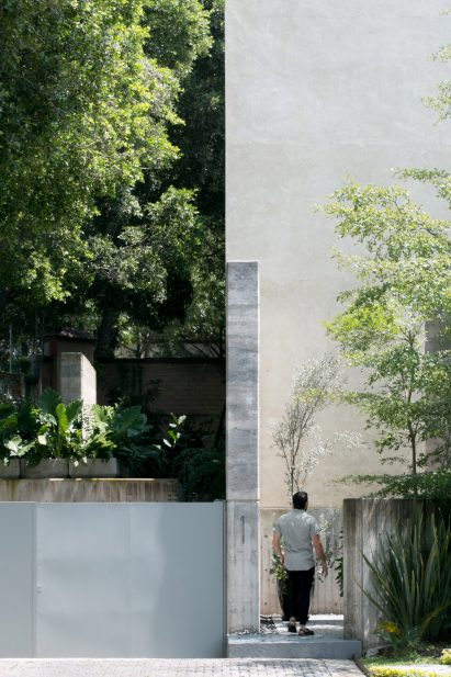 Plants feature in house in Mexico by V Taller