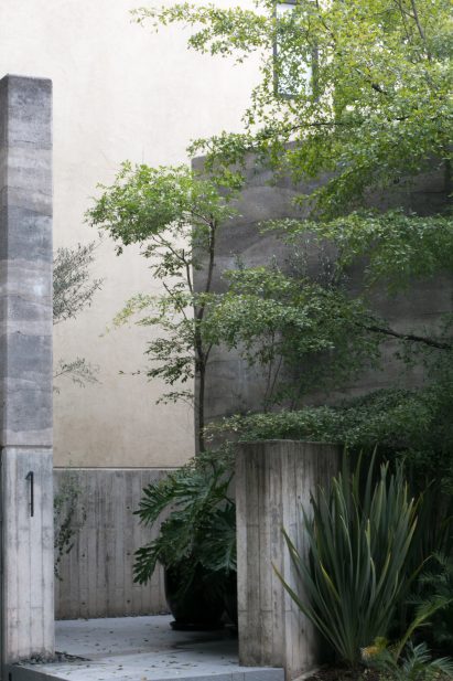 Concrete and stucco walls on Casa Duraznos
