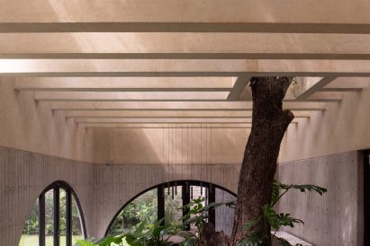 Tree inside Casa Duraznos by V Taller