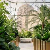 Banking conservatory in the Citibank Singapore Wealth Hub by Ministry of Design