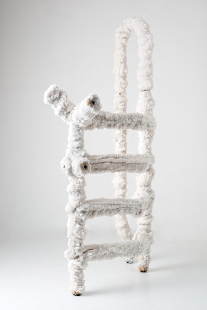 A ladder made from salt crystals