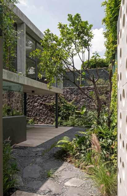 Garden of a house in Mexico City