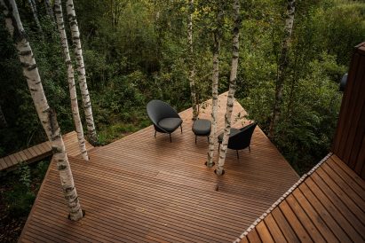 Dark wooden decking within woodland
