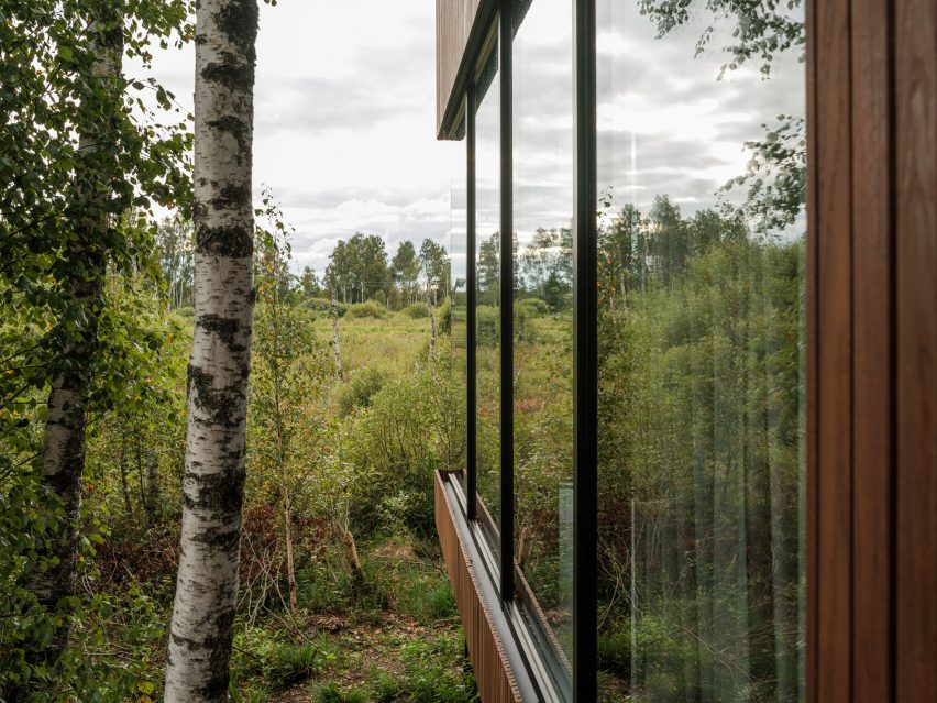 The glass walls of a cabin