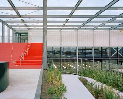 Vegetable garden