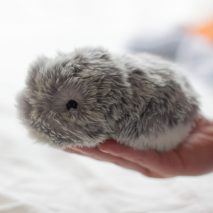 MOFLIN the AI robot pet from CES 2021