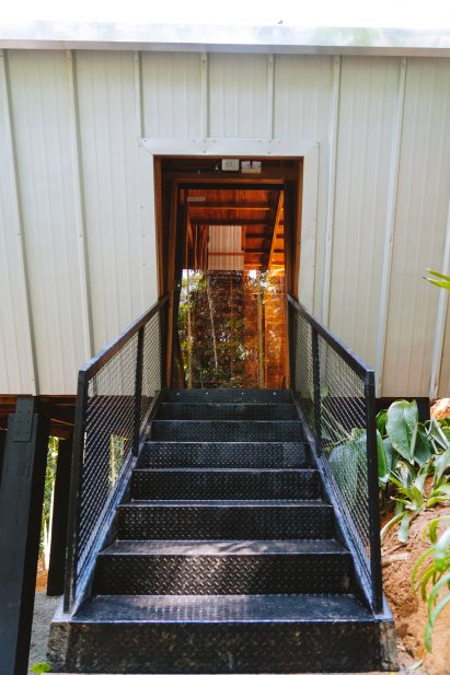 Steps leading up to Monkey House