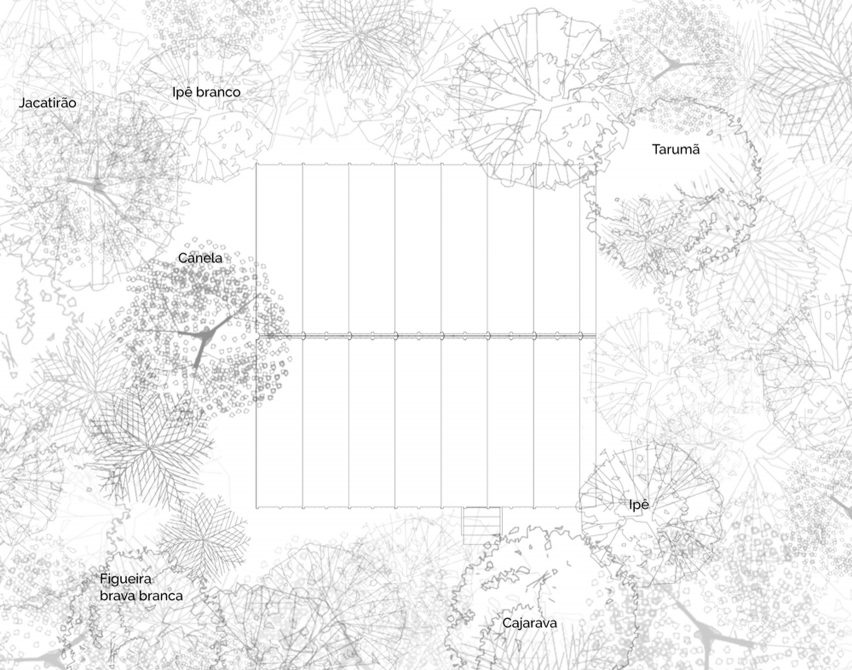 Plans for Monkey House