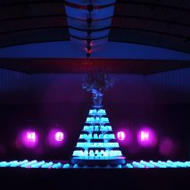 A jelly installation by Bompas & Parr