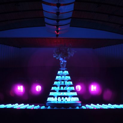A jelly installation by Bompas & Parr