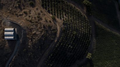Offices for a vineyard in Chile
